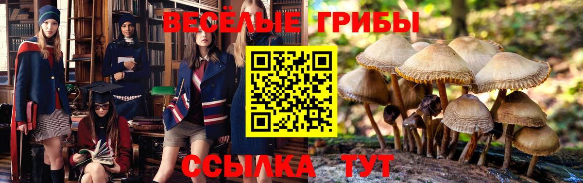 Галлюциногенные грибы Cubensis  Псилоцибиновые грибы MAGIC MUSHROOMS  Гусиноозёрск 