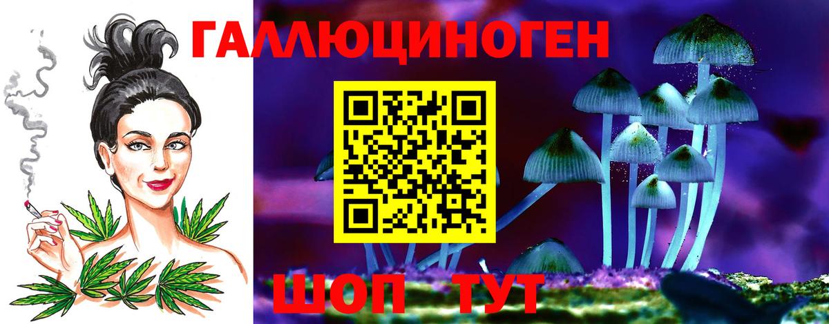 Псилоцибиновые грибы мухоморы  Вход с VPN  Гусиноозёрск 